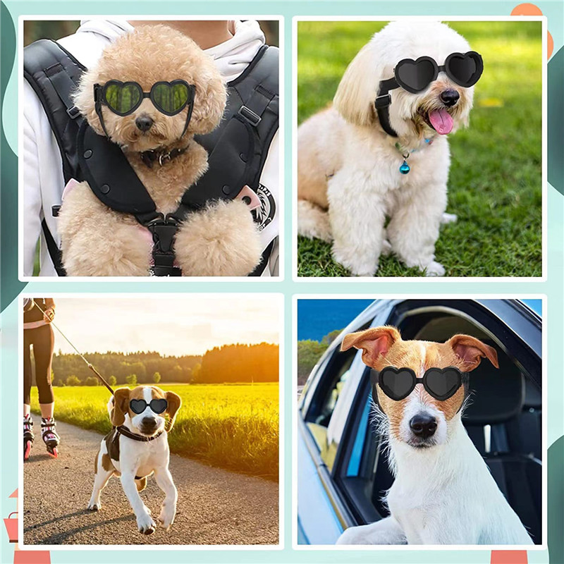 Óculos de sol para cães pequen - Sunglass Retainer Cord avaliação e preço